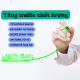 Gói Traffic Google Search Đa Quốc Gia