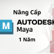 Nâng Cấp Tài Khoản Maya 1 Năm