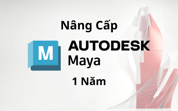 Nâng Cấp Tài Khoản Maya 1 Năm