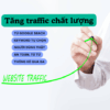 Gói Traffic Google Search Đa Quốc Gia