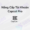 Nâng Cấp Tài Khoản Capcut Pro Giá Rẻ