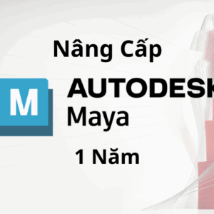 Nâng Cấp Tài Khoản Maya 1 Năm