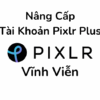 Nâng Cấp Tài Khoản Pixlr Plus Vĩnh Viễn Giá Rẻ